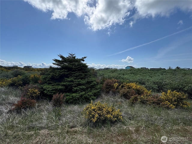 421 S Portal Loop SW, Ocean Shores, WA 98569