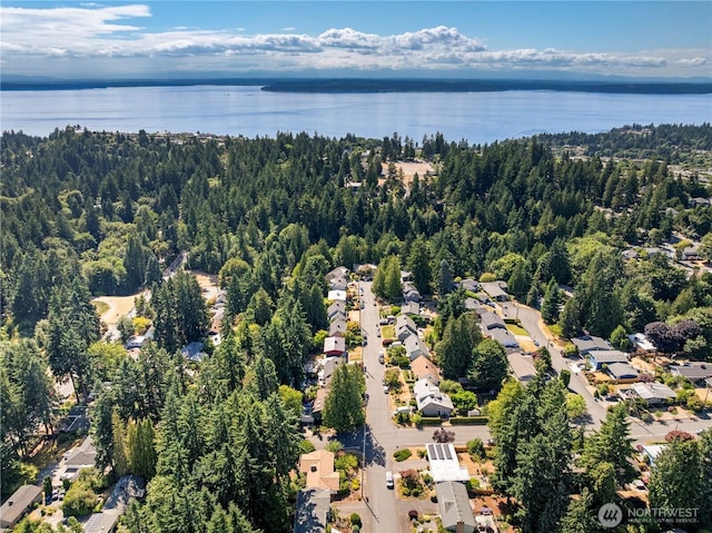 317NW 177th St, Shoreline, WA 98177 - view of property location featuring a large body of water and nearby suburban area