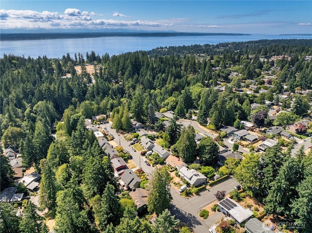 317NW 177th St, Shoreline, WA 98177 - aerial view of property's location featuring a nearby body of water and nearby suburban area