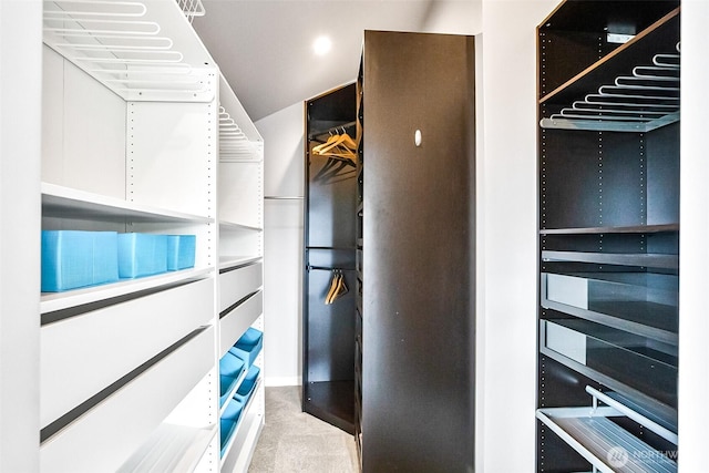 3406 SW Manning St, Seattle, WA 98126 - walk in closet featuring carpet flooring