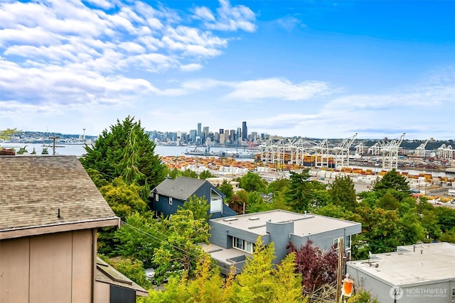 3406 SW Manning St, Seattle, WA 98126 - water view
