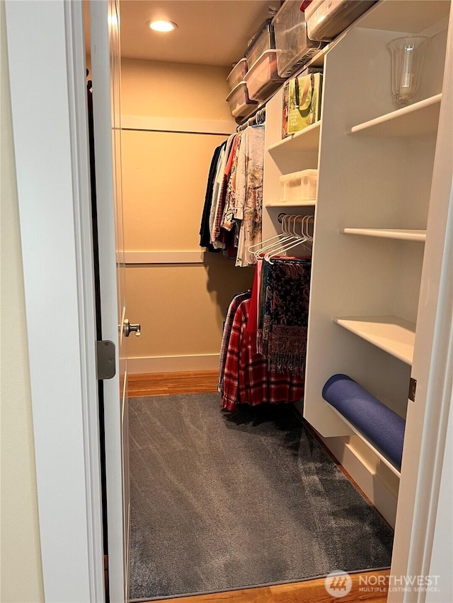 789 Island Cir SE, Ocean Shores, WA 98569 - walk in closet featuring carpet
