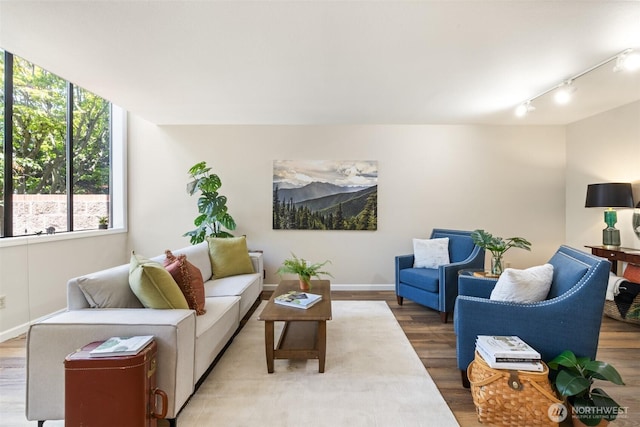 300 N Sequim Ave Unit 15, Sequim, WA 98382 - living area featuring light wood-style floors and rail lighting