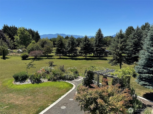 866 Jamestown Rd, Sequim, WA 98382 - photo 34