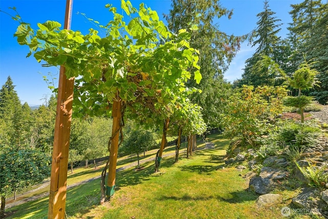 991 Lakeview St, Bellingham, WA 98229 - view of grassy yard
