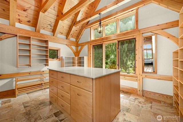 991 Lakeview St, Bellingham, WA 98229 - spacious closet with stone tile floors, beamed ceiling, and high vaulted ceiling