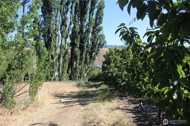 0 Leray Ranch Rd, East Wenatchee, WA 98802