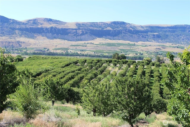 0 Leray Ranch Rd, East Wenatchee, WA 98802
