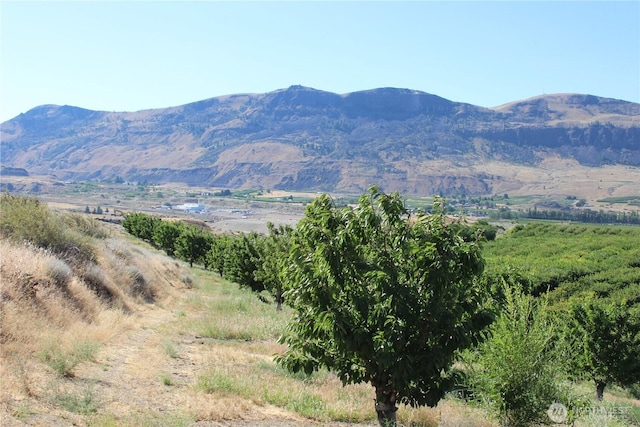 0 Leray Ranch Rd, East Wenatchee, WA 98802