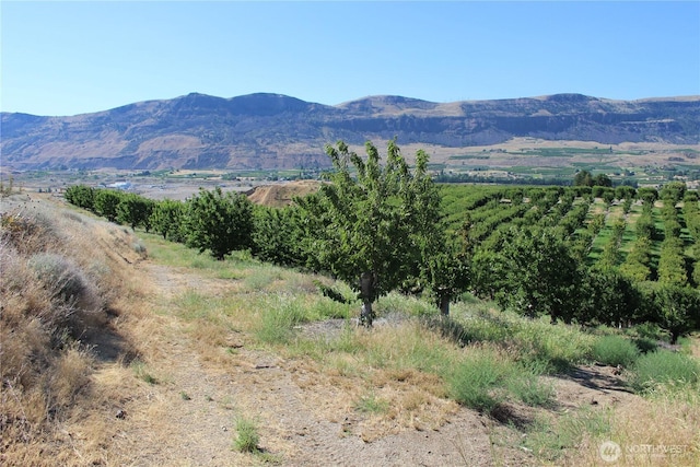 0 Leray Ranch Rd, East Wenatchee, WA 98802
