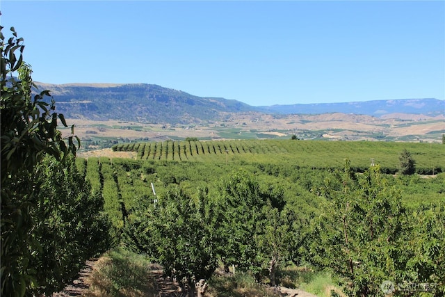 0 Leray Ranch Rd, East Wenatchee, WA 98802