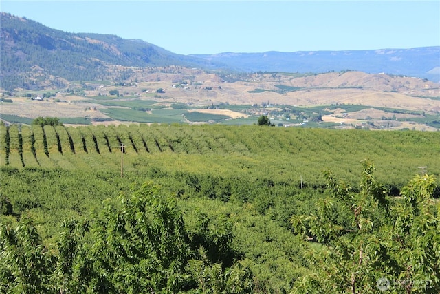 0 Leray Ranch Rd, East Wenatchee, WA 98802