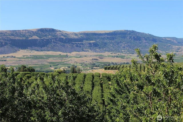 0 Leray Ranch Rd, East Wenatchee, WA 98802
