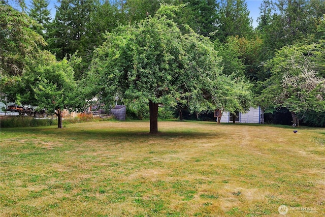 5140 Johnson Point Rd NE, Olympia, WA 98516 - view of green lawn with an outdoor structure