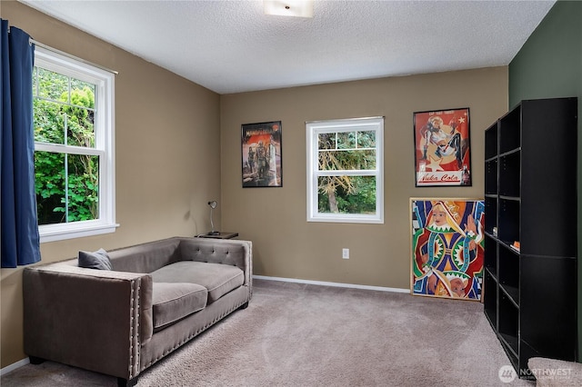 5140 Johnson Point Rd NE, Olympia, WA 98516 - sitting room with carpet floors, healthy amount of natural light, and a textured ceiling