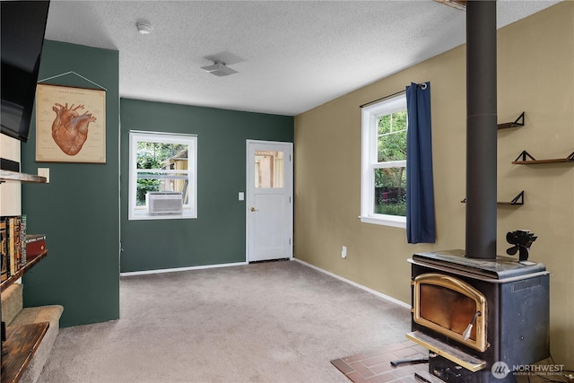 5140 Johnson Point Rd NE, Olympia, WA 98516 - entryway with a wood stove, plenty of natural light, carpet floors, and a textured ceiling