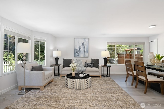 10263 NE 129th Ln, Kirkland, WA 98034 - living room with plenty of natural light and wood finished floors