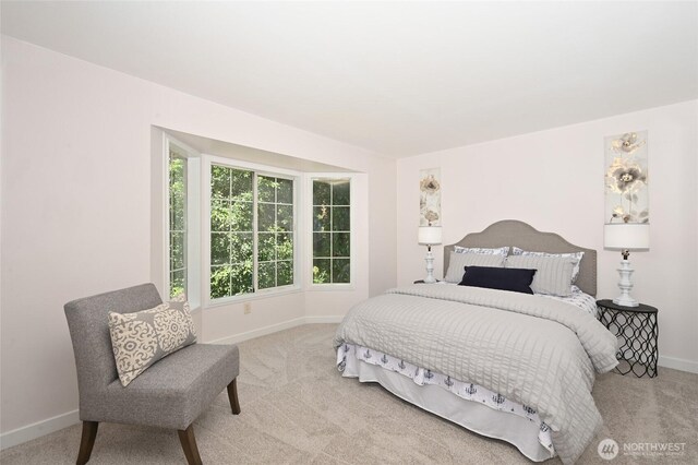 10263 NE 129th Ln, Kirkland, WA 98034 - carpeted bedroom featuring baseboards