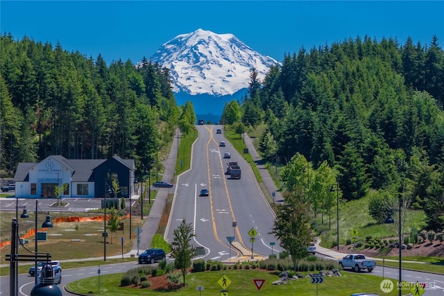 18015 150th St E, Bonney Lake, WA 98391 - photo 36