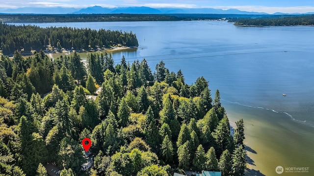 6687 NE Bayview Blvd, Bainbridge Island, WA 98110 - aerial view of a water and mountain view and a forest