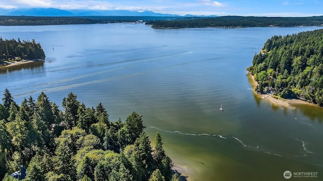 6687 NE Bayview Blvd, Bainbridge Island, WA 98110 - bird's eye view of a water and mountain view