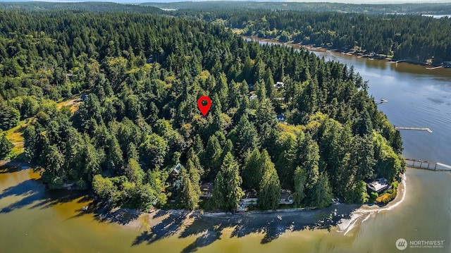 6687 NE Bayview Blvd, Bainbridge Island, WA 98110 - aerial view of property's location with a forest and a nearby body of water