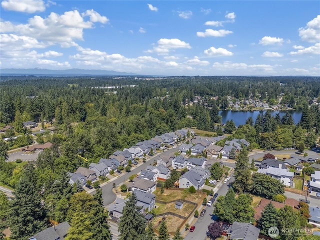 35087 41st Pl S, Auburn, WA 98001 - photo 28