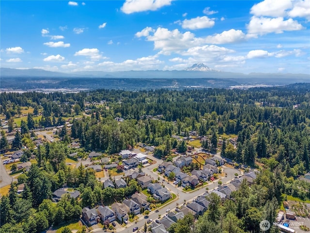 35087 41st Pl S, Auburn, WA 98001 - photo 29