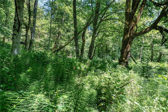 9415 SE Goat Trail Rd, Port Orchard, WA 98367 - photo 10