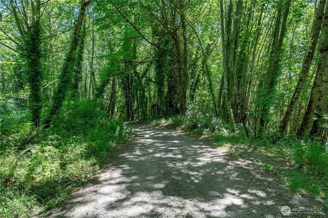 9415 SE Goat Trail Rd, Port Orchard, WA 98367 - photo 12