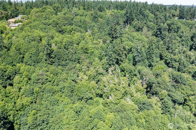 9415 SE Goat Trail Rd, Port Orchard, WA 98367 - photo 13