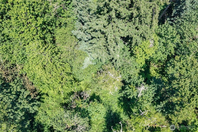 9415 SE Goat Trail Rd, Port Orchard, WA 98367 - photo 14