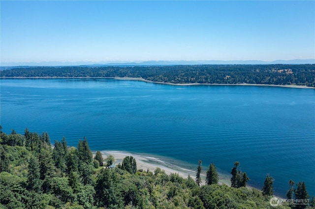 9415 SE Goat Trail Rd, Port Orchard, WA 98367 - photo 3