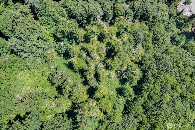 9415 SE Goat Trail Rd, Port Orchard, WA 98367 - photo 15