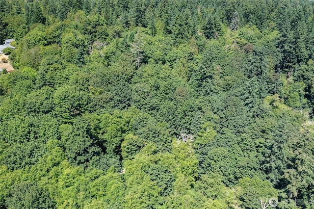 9415 SE Goat Trail Rd, Port Orchard, WA 98367 - photo 17