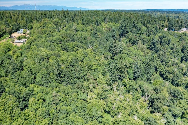 9415 SE Goat Trail Rd, Port Orchard, WA 98367 - photo 19