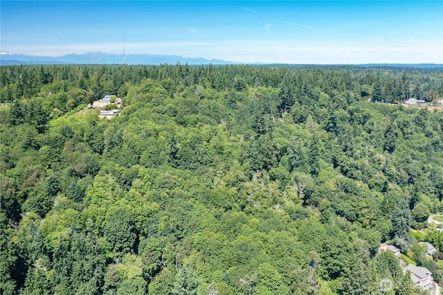 9415 SE Goat Trail Rd, Port Orchard, WA 98367 - photo 20