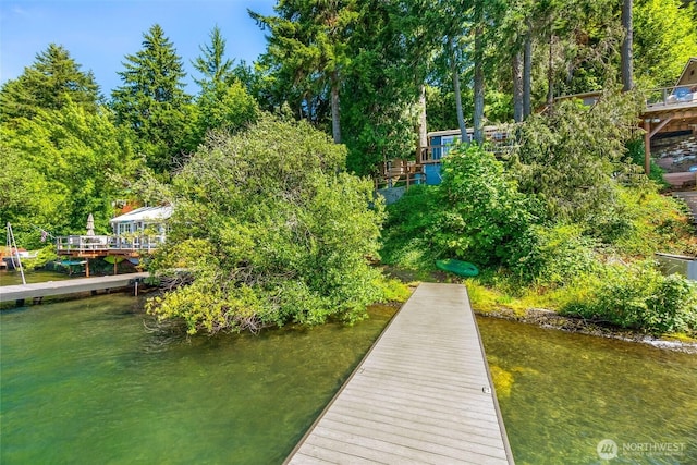 1205 Summit Lake Shore Rd NW, Olympia, WA 98502 - dock with a water view