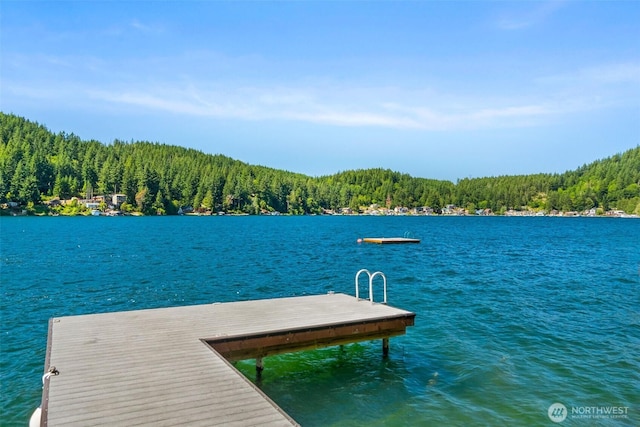 1205 Summit Lake Shore Rd NW, Olympia, WA 98502 - dock with a view of trees and a water view