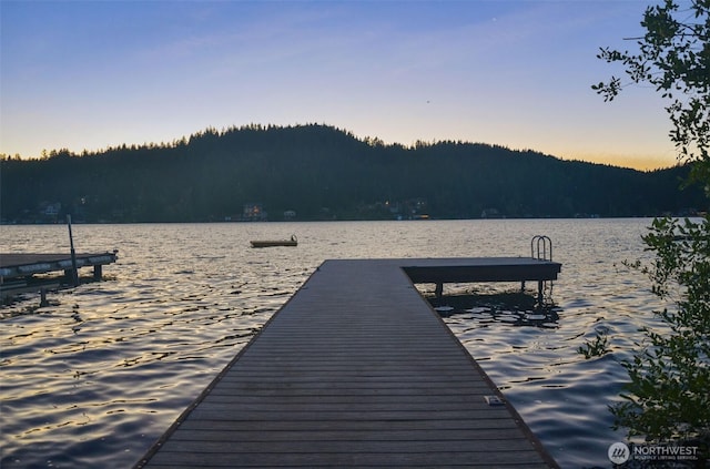 1205 Summit Lake Shore Rd NW, Olympia, WA 98502 - dock area featuring a water view and a view of trees