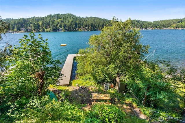 1205 Summit Lake Shore Rd NW, Olympia, WA 98502 - water view with a forest