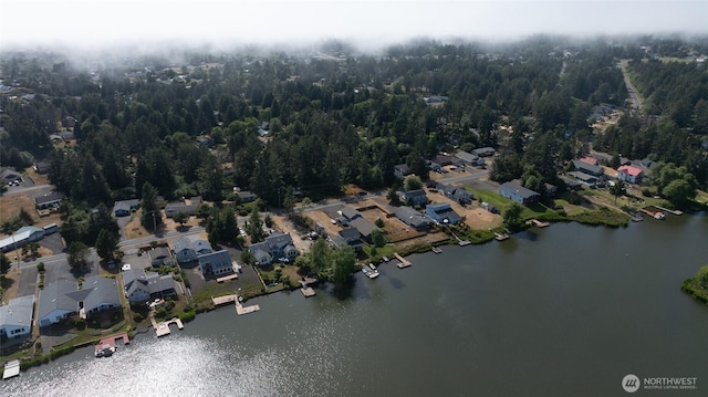 544 Mt Olympus Ave SE, Ocean Shores, WA 98569 - photo 4