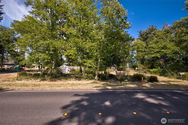 800 Duck Lake Dr SE, Ocean Shores, WA 98569 - photo 4