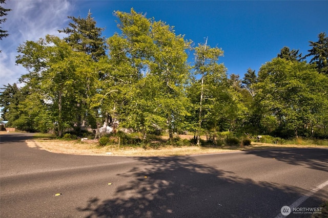800 Duck Lake Dr SE, Ocean Shores, WA 98569 - photo 6