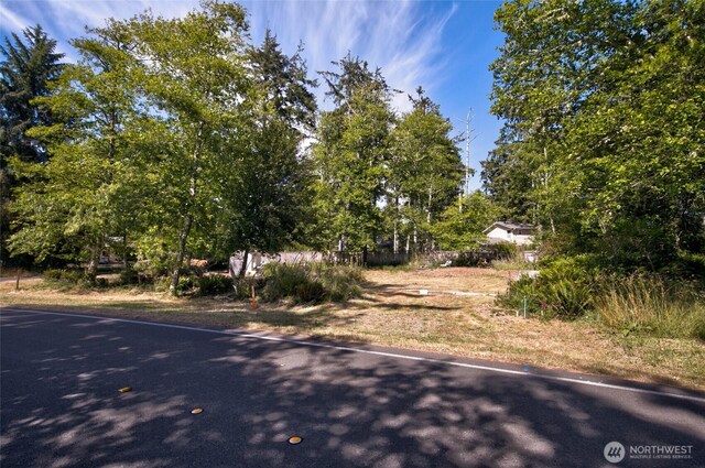 800 Duck Lake Dr SE, Ocean Shores, WA 98569 - photo 7
