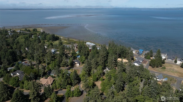 800 Duck Lake Dr SE, Ocean Shores, WA 98569 - photo 9