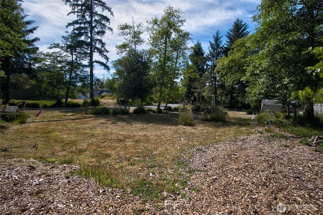 800 Duck Lake Dr SE, Ocean Shores, WA 98569 - photo 10