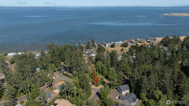 800 Duck Lake Dr SE, Ocean Shores, WA 98569 - photo 11