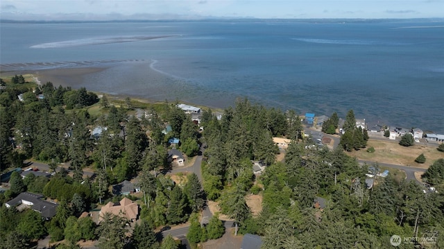 800 Duck Lake Dr SE, Ocean Shores, WA 98569 - photo 13