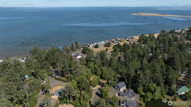 800 Duck Lake Dr SE, Ocean Shores, WA 98569 - photo 14